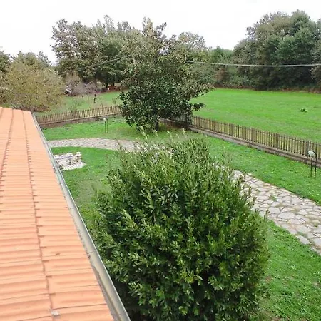 Magnolia Bed & Breakfast