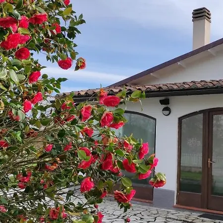Bed & Breakfast Magnolia Castel Giorgio