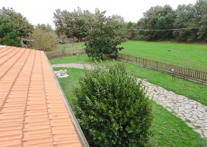 Magnolia Bed & Breakfast